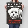 Plakat metalowy - Mam maltanczyka prezent L.jpg