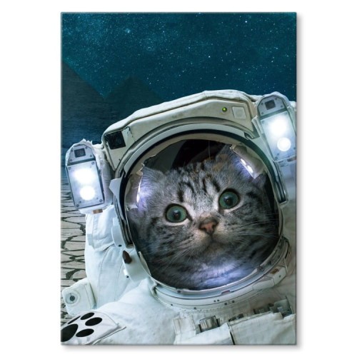 Plakat-metalowy-Cat-in-space-Prezent.jpg