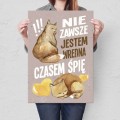 Plakat-metalowy-jestem-wredna-Prezent L.jpg