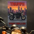 Plakat-metalowy-Motor-Triumph-Street-Triple-675-Retro-Pixel-Art L 2.jpg
