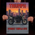 Plakat-metalowy-Motor-Triumph-Street-Triple-675-Retro-Pixel-Art L.jpg