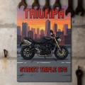 Plakat-metalowy-Motor-Triumph-Street-Triple-675-Retro-Pixel-Art S 2.jpg