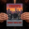 Plakat-metalowy-Motor-Triumph-Street-Triple-675-Retro-Pixel-Art S.jpg