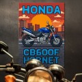 Grafika-na-metalu-motor-Honda-CB600F-Hornet-Retro-Pixel-Art L 2.jpg