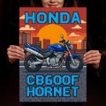Grafika-na-metalu-motor-Honda-CB600F-Hornet-Retro-Pixel-Art L.jpg
