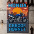 Grafika-na-metalu-motor-Honda-CB600F-Hornet-Retro-Pixel-Art S 2.jpg