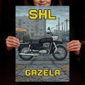Szyld-metalowy-motor-SHL-M17-GAZELA-Retro-Pixel L.jpg