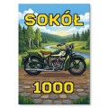 Plakat-metalowy-Motor-CWS-Sokol-1000-Retro-Pixel.jpg