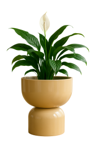 Donica lakierowana z włókna szklanego - Kielich 41 cm