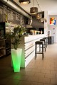 donica_rossa_75_cm_led_rgb_zielony_aranzacja_1.jpg