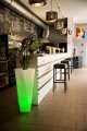 donica_rossa_90_cm_led_rgb_zielony_aranzacja_1.jpg