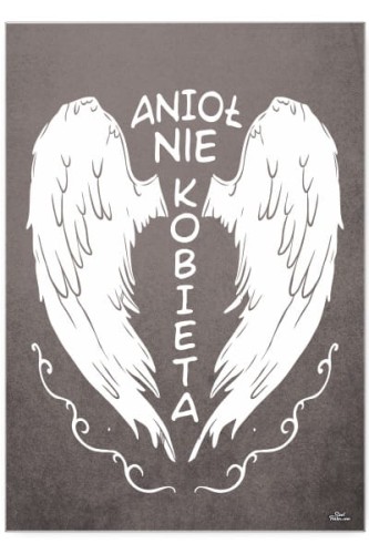 aniol_plakat metalowy.jpg