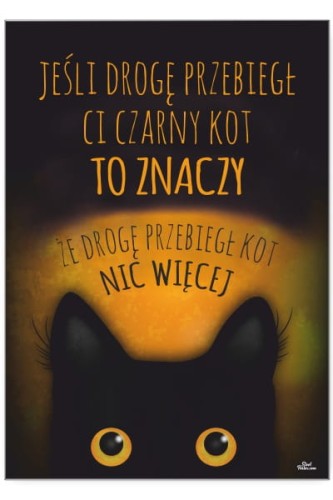 Czarny kot.jpg