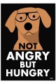 Not angry.jpg
