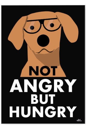 Not angry.jpg
