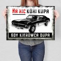 Blacha metalowa - Na nic koni kupa L.jpg