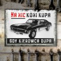 Blacha metalowa - Na nic koni kupa S 2.jpg