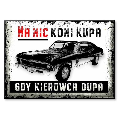 Blacha metalowa - Na nic koni kupa.jpg