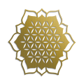 91Z.png