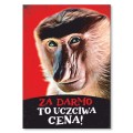 Blacha metalowa - Za darmo.jpg