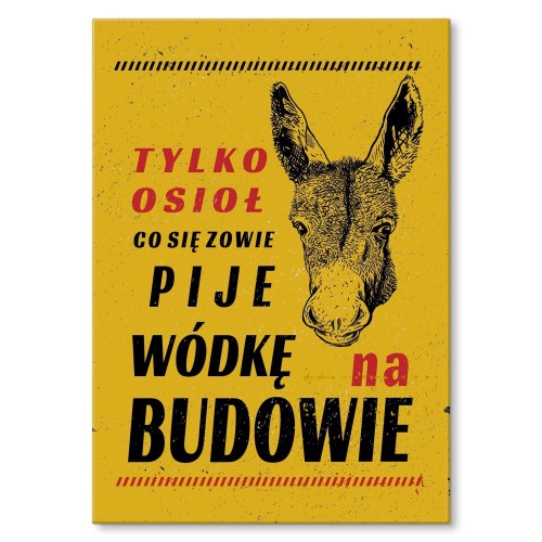 Blacha metalowa - Tylko osioł.jpg