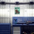 Blacha metalowa - My garage fox S 2.jpg