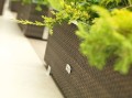 SG03198 - 98x25x34_4.jpg