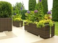 SG03198 - 98x25x34_6.jpg